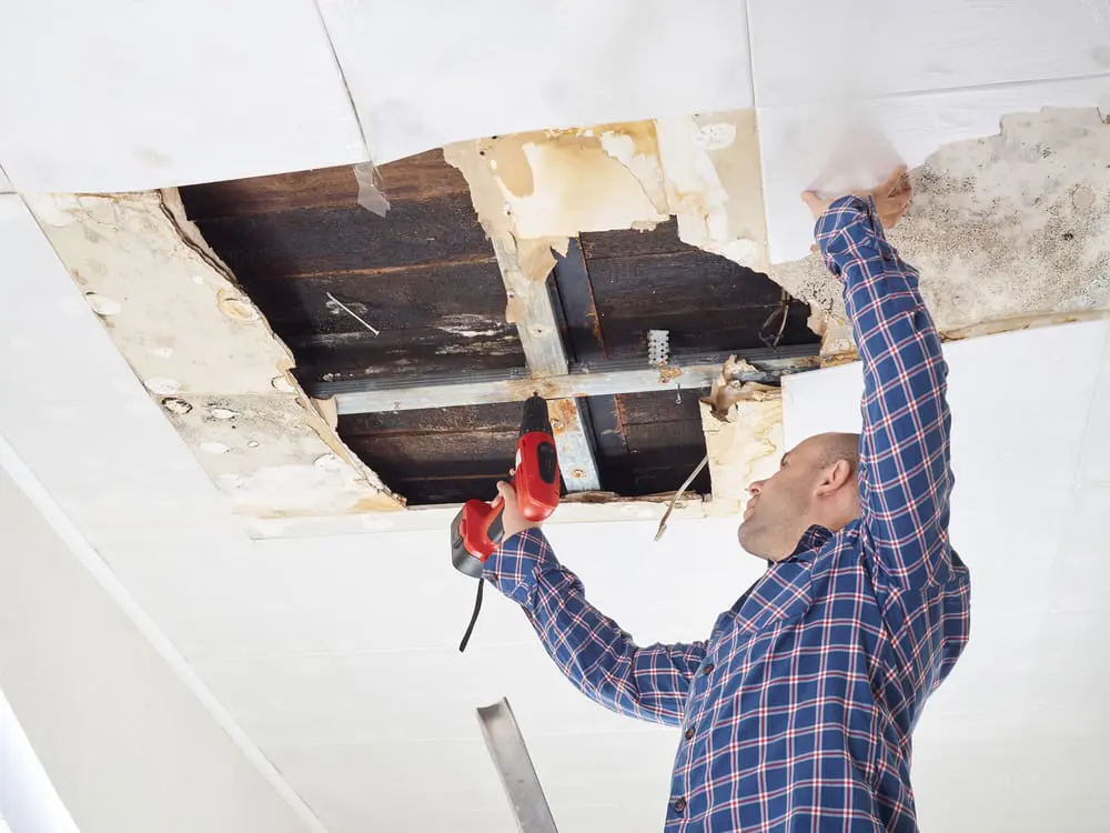 Most Common Summer Restoration Jobs in Alachua, FL