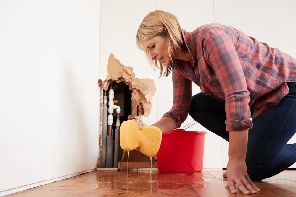 Water Damage Cleanup