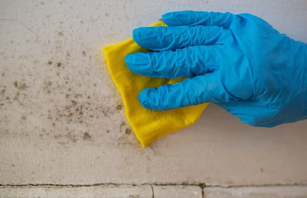 Structural Cleaning