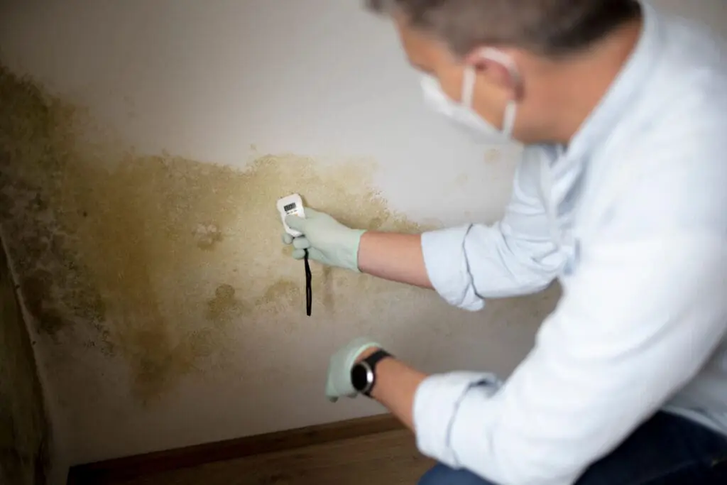 Man with mask investigating a mold issue