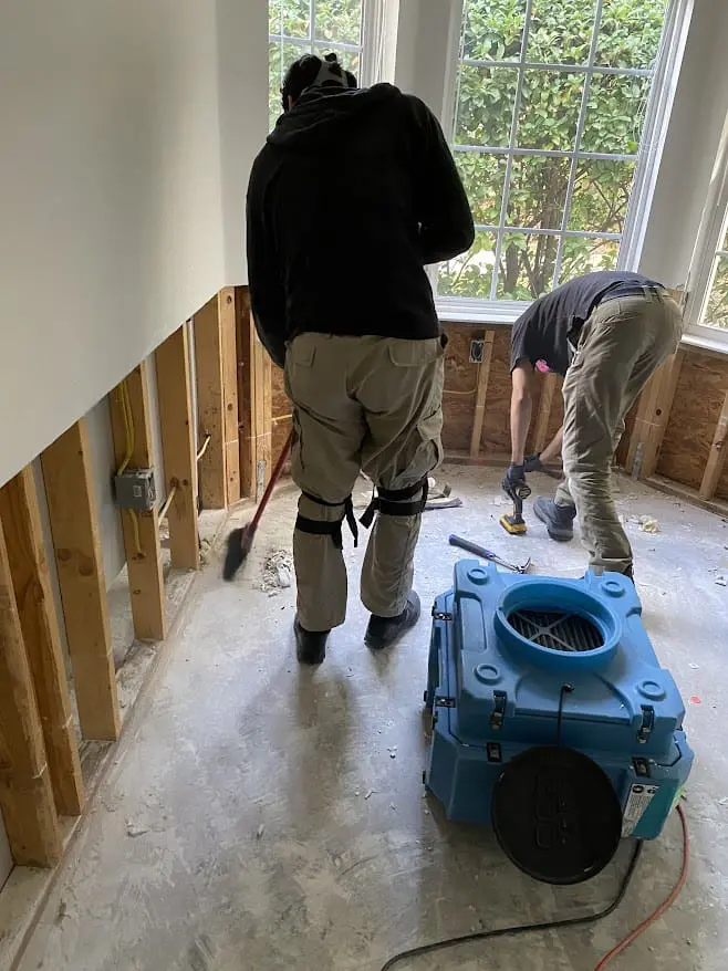 team member in the process of water mitigation