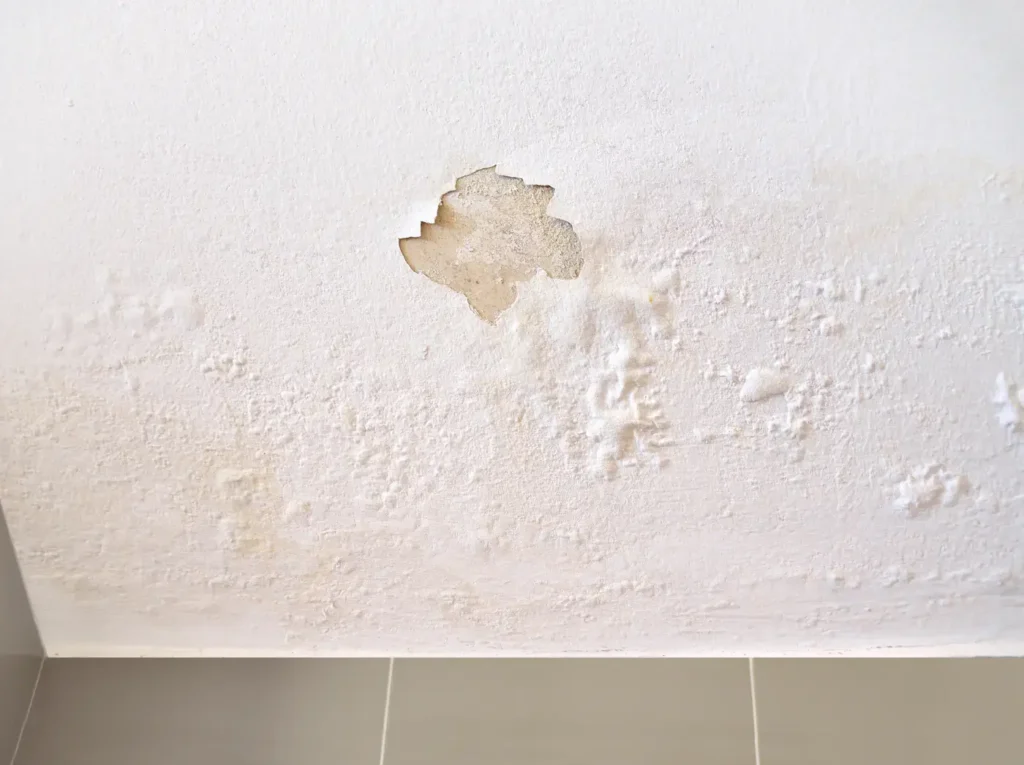Wet Drywall