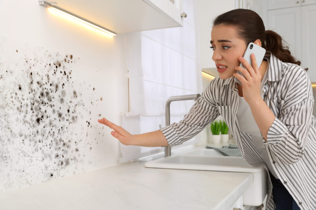 Woman on the phone with mold remediation company, describing the mold on her wall in the kitchen. 