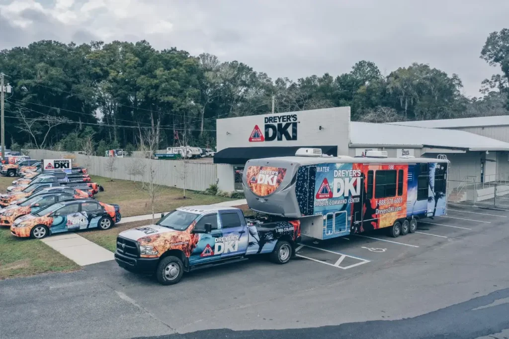 mold remediation ocala