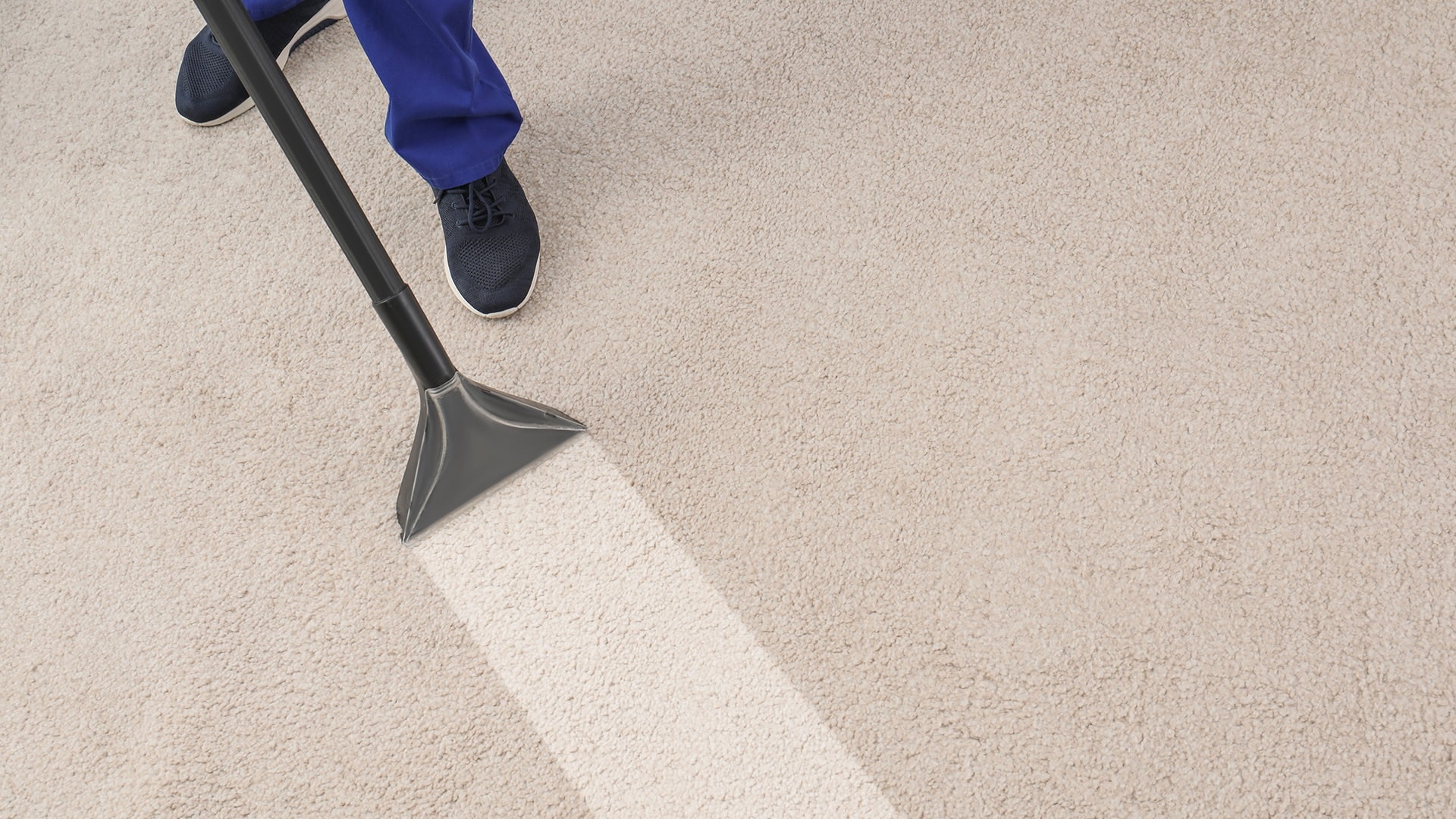 carpet cleaning