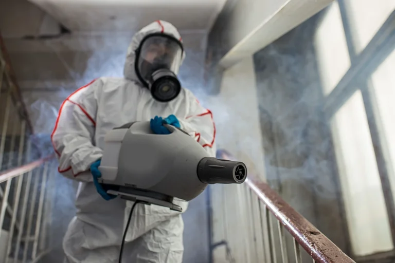 covid disinfection services