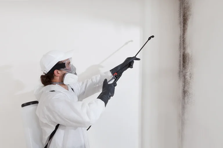 mold hygienist spraying for mold