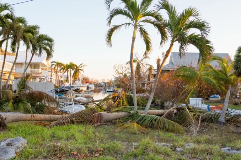 Storm damage