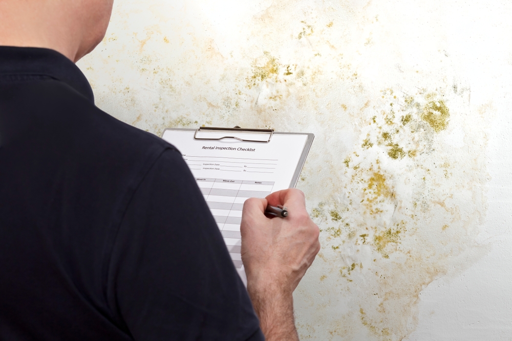 mold assessment