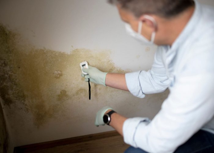 Man with mask investigating a mold issue