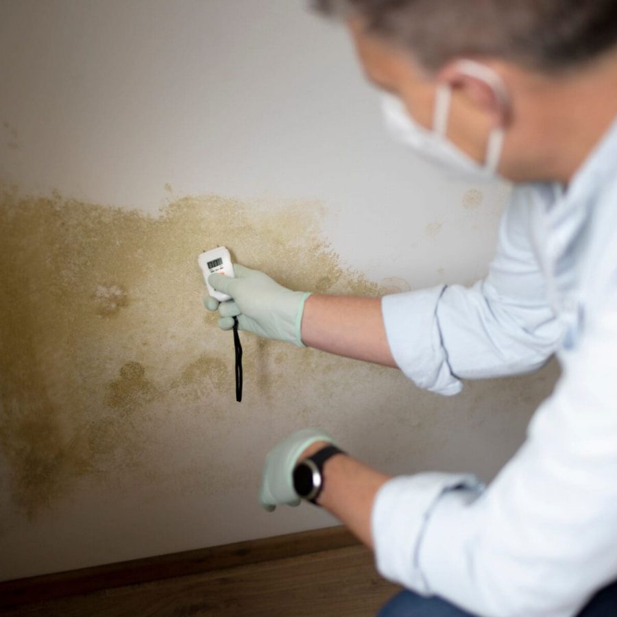 Man with mask investigating a mold issue
