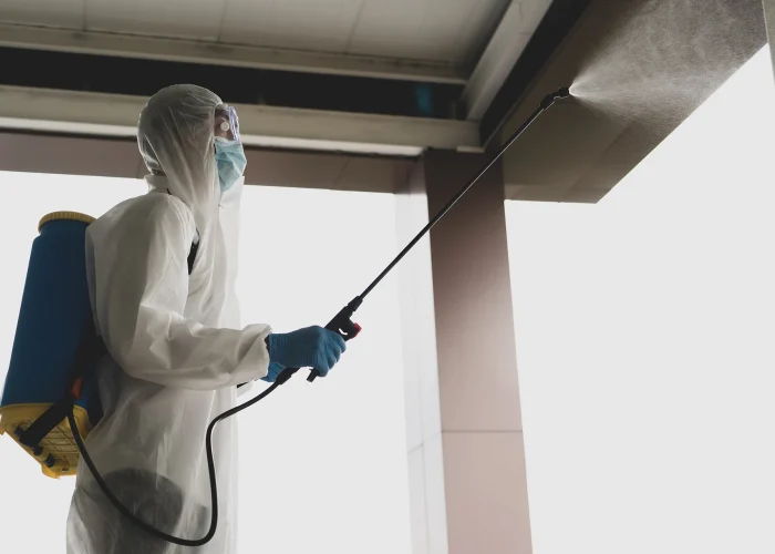 mold hygienist spraying for mold