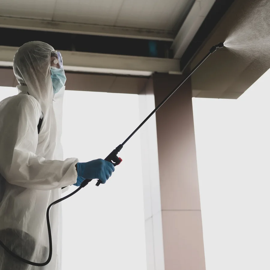 mold hygienist spraying for mold