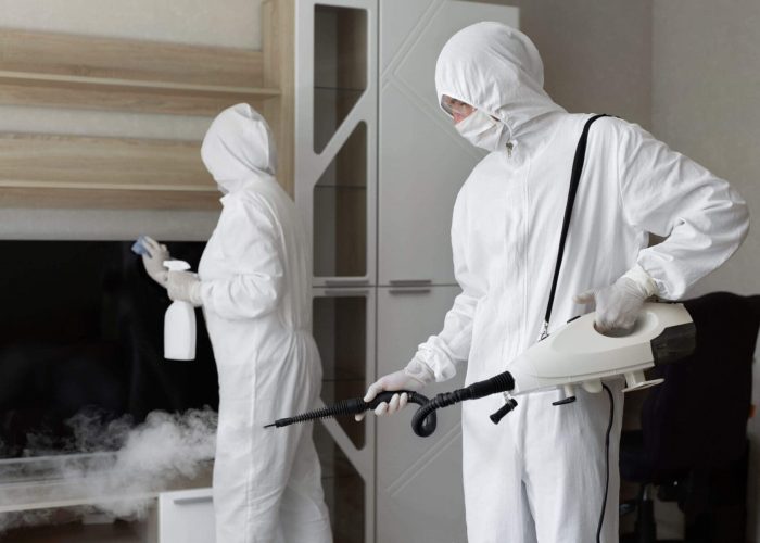 two mold hygienists removing mold