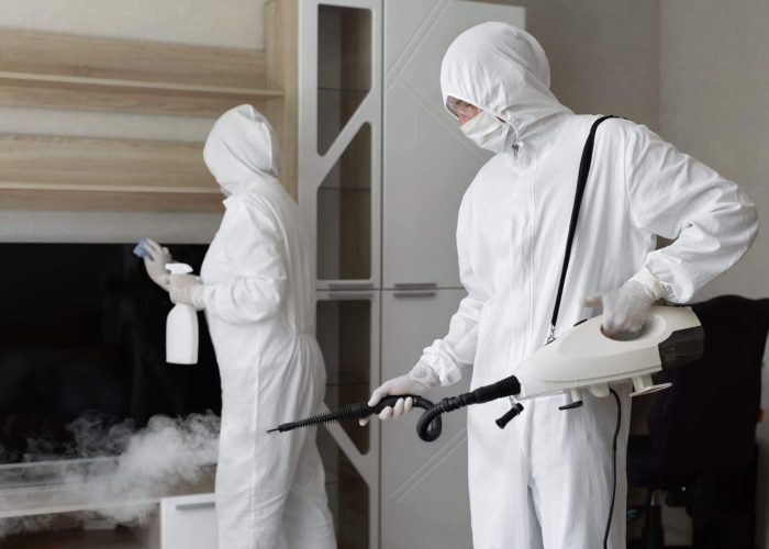 two mold hygienists removing mold