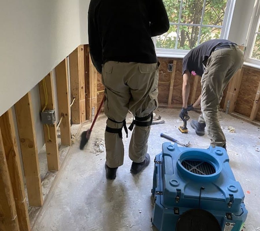 team member in the process of water mitigation